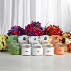 Ambi Pur Deodorante Per Ambienti Ricarica Rugiada Set & Refresh